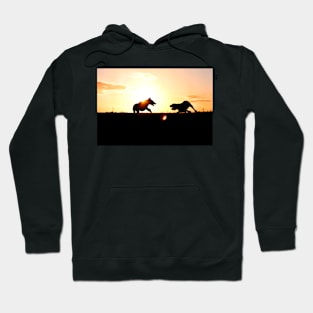 Italian Spinone Sunset Playtime Hoodie